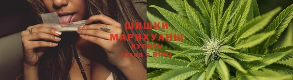 тгк Заводоуковск